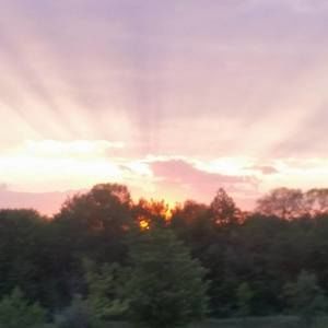 Meet your Posher, Thomas